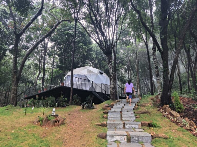 Dome stay at Sakaleshpur by Homestays Karnataka 1 768x576