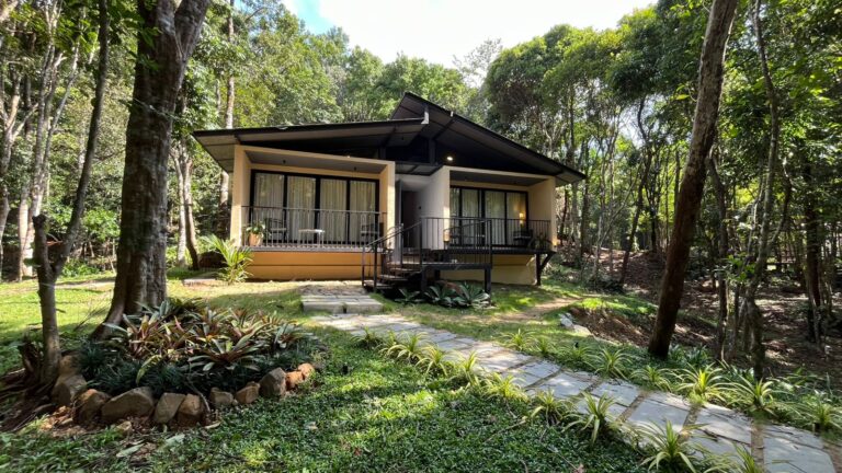 Nest stay sakaleshpur Homestays karnataka 768x432