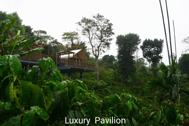 Luxury pavilion rivermist resort 768x512