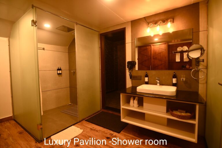 Pavilion room Homestays Karnataka 768x512