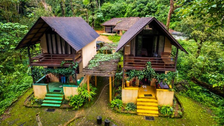 Forest view cottage Bison Valley By homestays karnataka Chikamagalur 3 768x432