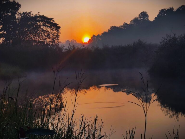 Sunrise at Golden sparrow Resort by Homestays Karnataka Sakleshpur 768x576