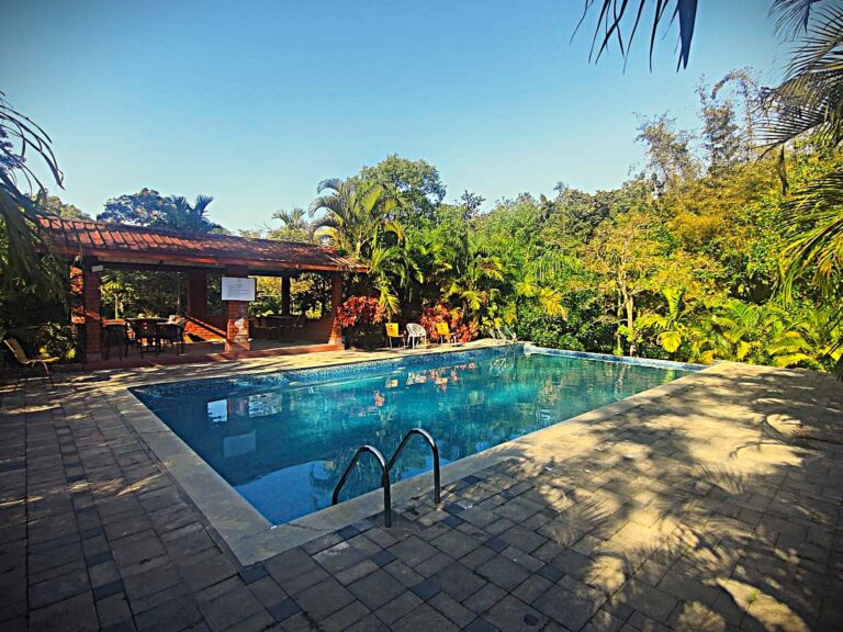Swimming pool Golden sparrow resort sakleshpur 768x576