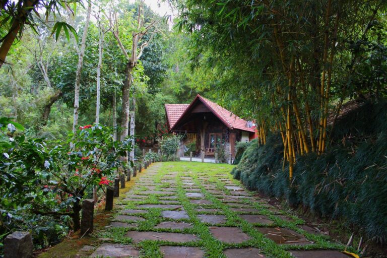 Planatation stay in deep woods Villa Urvin Khan 768x512