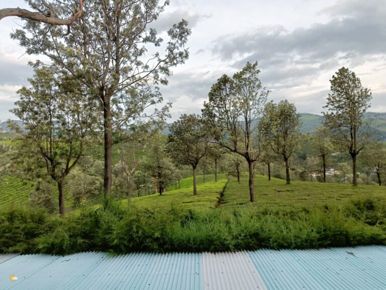 Sunshine Valley Retreat Coonoor by Homestays Karnataka 768x576
