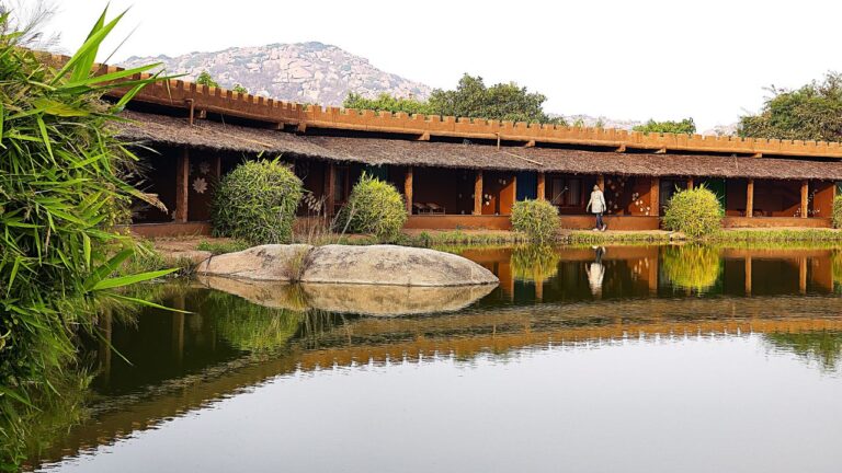 Hampi feathers by homestays karnataka Chikamagalur  768x432