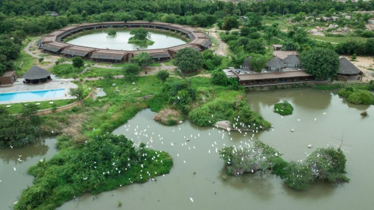 Hampi feathers by homestays karnataka Chikamagalur 1 768x432