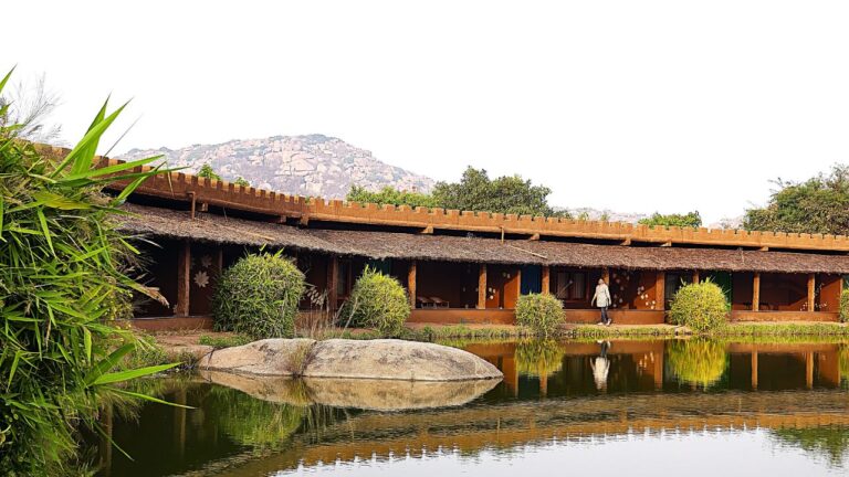 Hampi feathers by homestays karnataka Chikamagalur 2 768x432