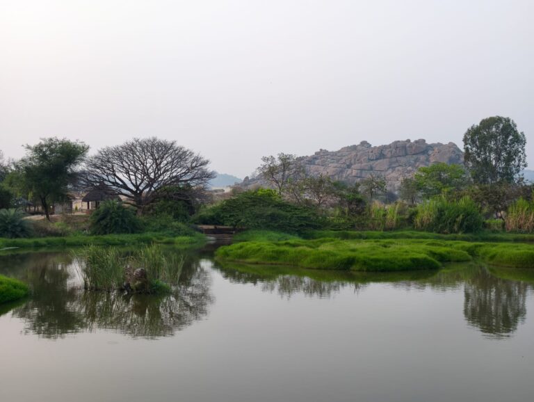 WhatsApp Image 2026 02 20 at 4.18.34 PM 768x578