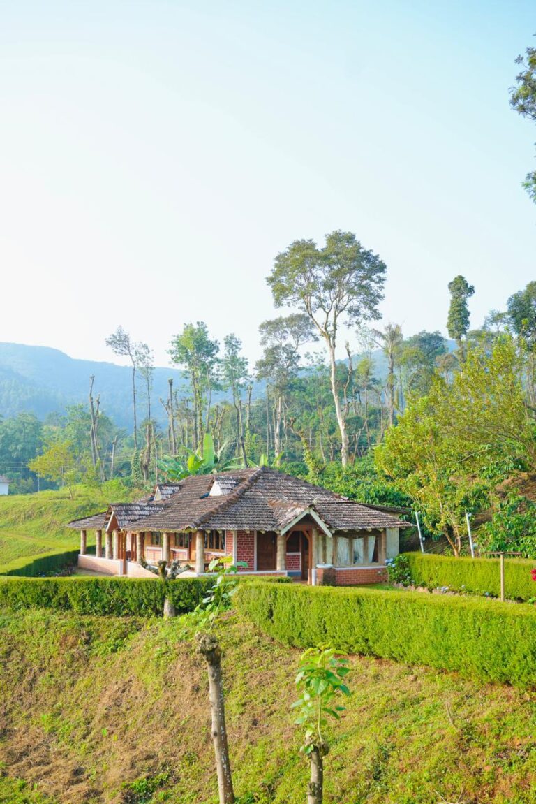 WhatsApp Image 2026 02 25 at 10.36.11 AM 2 768x1151