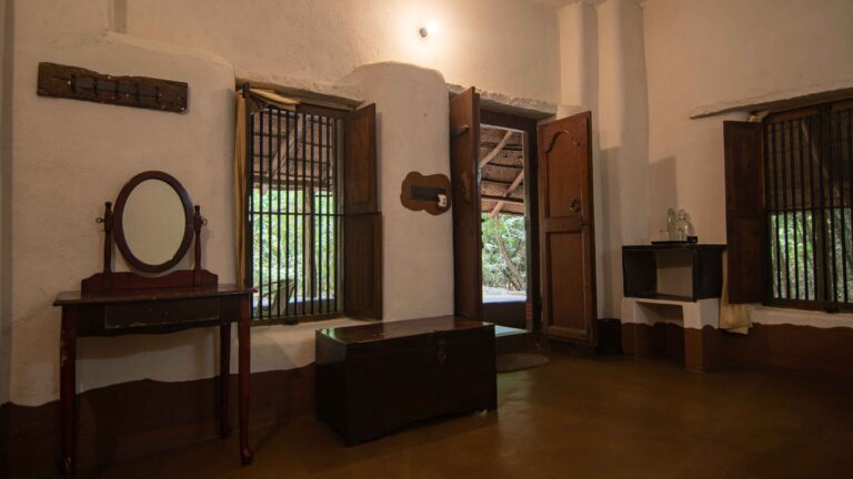 Whiskers room 2 768x432