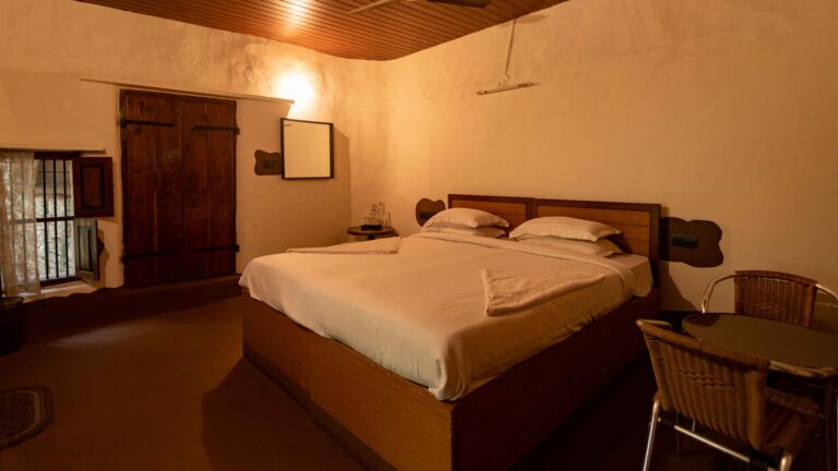 whiskers room 1 768x432