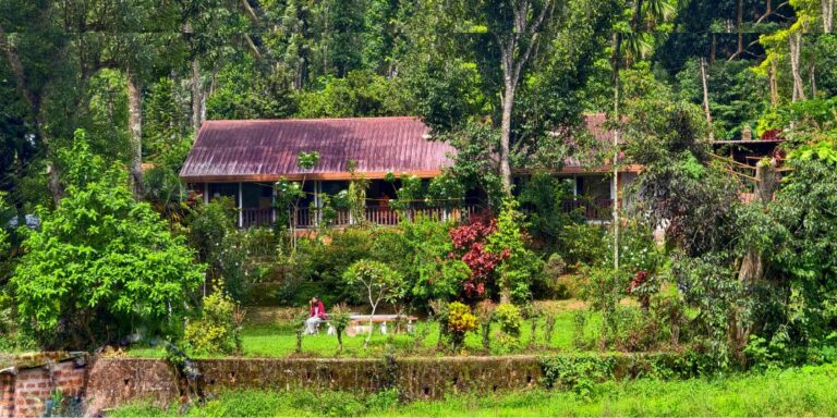 Aranha stay chikmagalur by homestays Karnataka 768x384