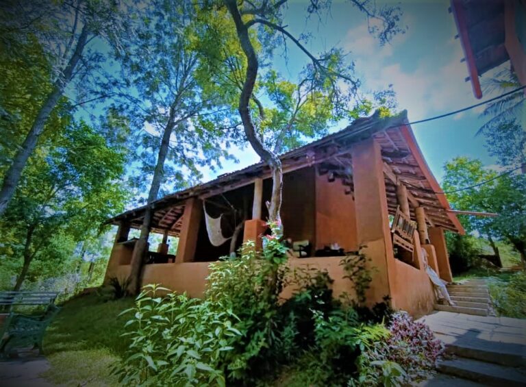 Felis forest by homestays Karnataka 768x565