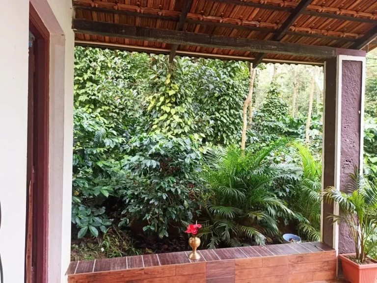 Portico Sanjeevini Homestay 768x577