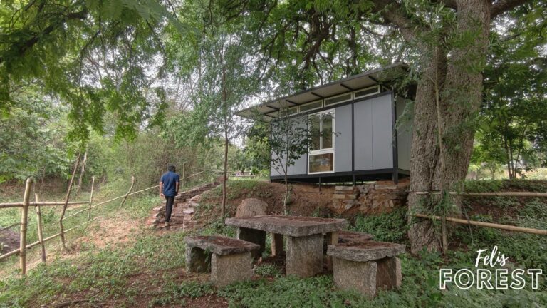 Felis forest by Homestays Karnataka 768x432